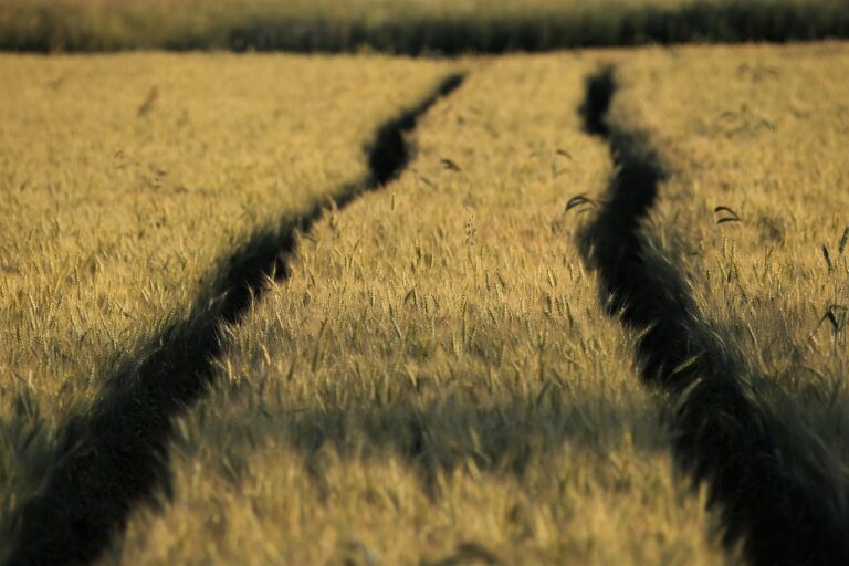 Investing in land